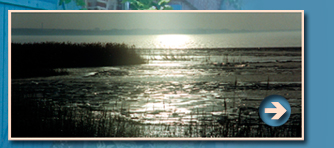 Landh&auml;user in Pieverstorf